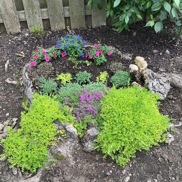 Meet your Posher, Sue - Picture 5 of 7